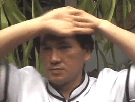 innanefedovskaya  GIF