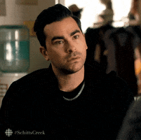Schitts Creek What GIF by CBC