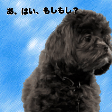  dog hello japan phone answering GIF