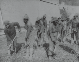 CinemathequeDeBretagne brittany brest first world war 1917 GIF