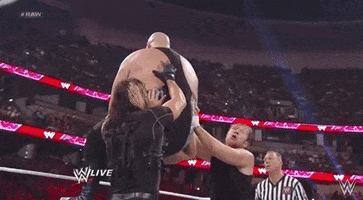 The Shield Wrestling GIF by WWE