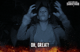 Oh Great GIF by Australian Survivor