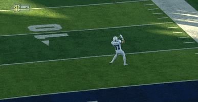 College Football Uk GIF by SEC Network