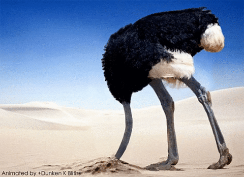 ostriched meme gif