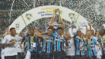 Copa Do Brasil Sport GIF by Grêmio