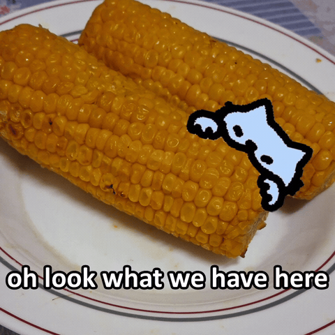 Spainnubcat GIF