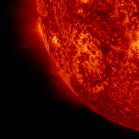 sun flare GIF by NASA