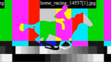 owedu animation run photography horse GIF