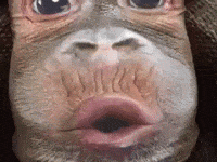 This-video-is-hilarious GIFs - Get the best GIF on GIPHY This-video-is-hilarious GIFs - Get the best GIF on GIPHY