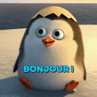 France Hello GIF by Camping Qualité