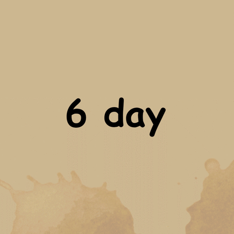 crapappella 6 day 2 go GIF