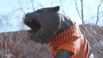 college tiger GIF by Rochester Institute of Technology