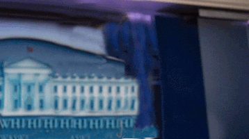 Donald Trump Kkk GIF