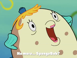 season 4 krusty towers GIF by SpongeBob SquarePants