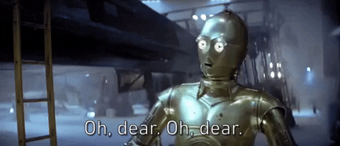 https://media0.giphy.com/media/l1Ku8UGWpTlyHuD0A/giphy.gif