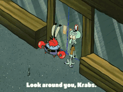 season 3 missing identity GIF by SpongeBob SquarePants