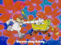 spongebob karate star
