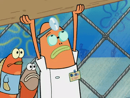 200.gif?cid=fc005b08c83dce2bad08453d6a489acd5d59197c254b48df&rid=200.gif&ct=g