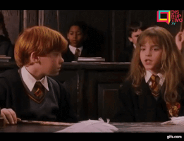 jerocuneo harrypotter GIF