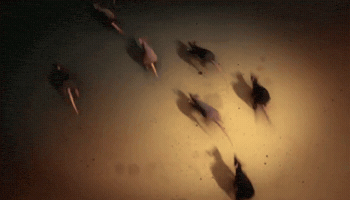 tomadelsbach rats GIF