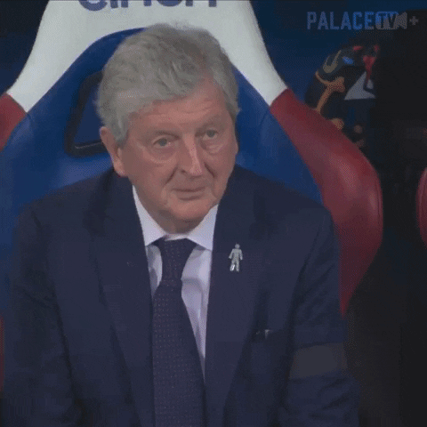 Premier League Smile GIF by Crystal Palace Football Club