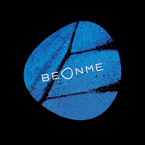 BeOnMe GIF