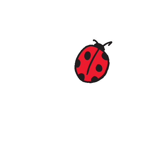 Valentines Day Ladybug Sticker by Darcy Miller