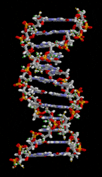 Dna GIFs - Get the best GIF on GIPHY