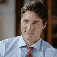 Justin Trudeau Yes GIF by Patriot Act