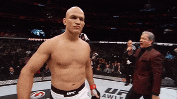 ufc 211 extended preview GIF