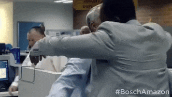 hug it out amazon GIF by Bosch