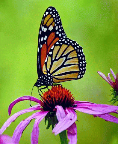 Video Picture GIF by GT8Studios