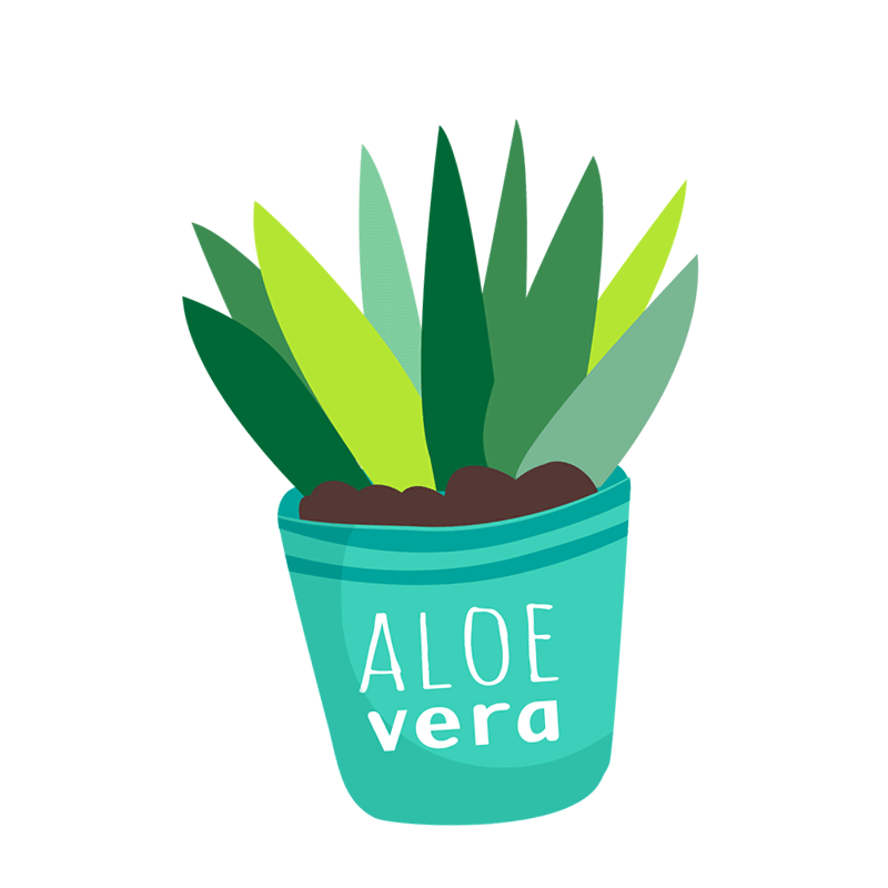 Image result for aloe vera gif