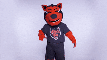 Hype Up Red Wolves GIF by Arkansas State University