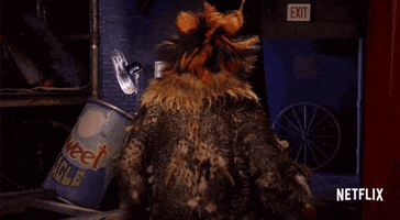 Cats GIF