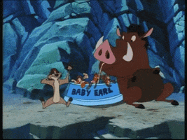 vd dobrou chut good taste timon pumbaa GIF