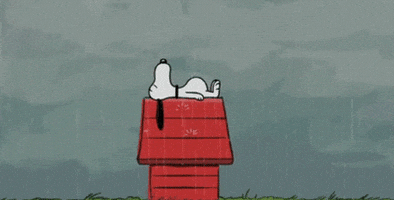 fu fuckingwinter GIF