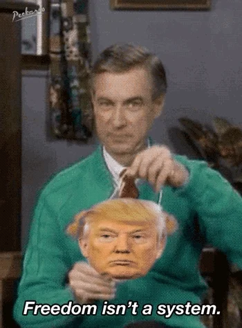 donald trump lol GIF