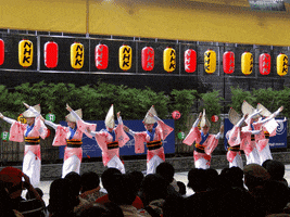 largo tokushima awaodori 2015 summer GIF