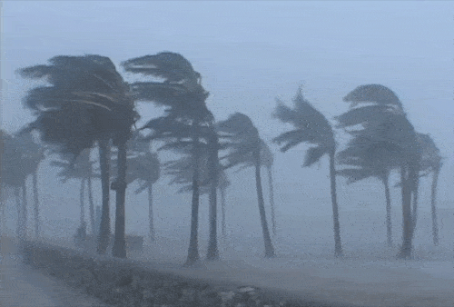 Stimmst du zu dass nach einem Sturm die Ruhe kommt