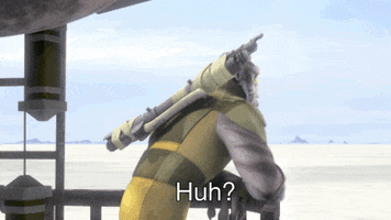 Zeb What GIF by Star Wars