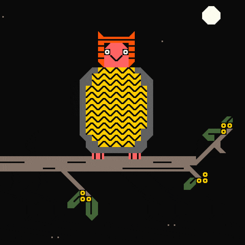 Night Owl GIF by ailadi
