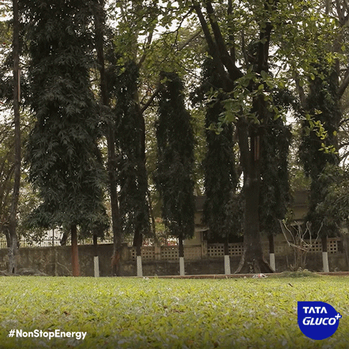 tataglucoplus non stop energy tyre pushing GIF