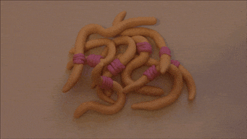 claymation GIF by Amber McCall