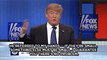 donald trump fox GIF by The Daily Show with Trevor Noah