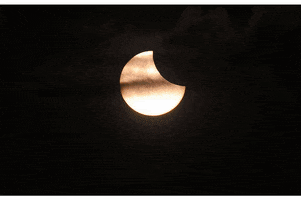 danielapuentesrueda  GIF