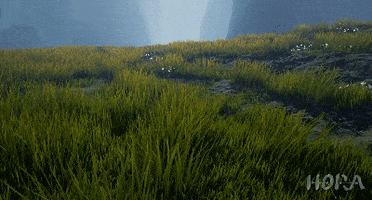 hora  GIF