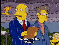 Season 7 Superintendent Chalmers GIF - Find & Share on GIPHY