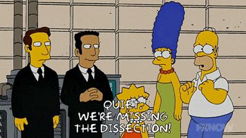 200.gif?cid=fc005b08b337ad08dc20fa646e913d1e63322aef2652810c&rid=200.gif&ct=g