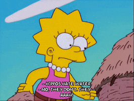 Yank Lisa Simpson GIF by The Simpsons